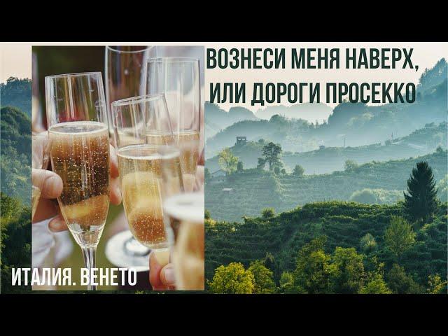 Италия.Венето.Самый божественный напиток Италии-просекко.#путешествиепоиталии