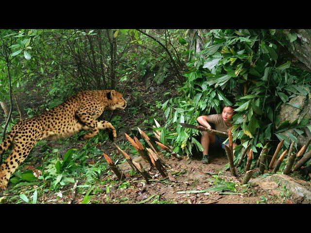 Full video: 100 days of Monster attacks, building shelters, setting traps for wild animals