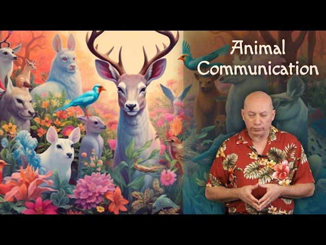 Bashar: Animal Communication