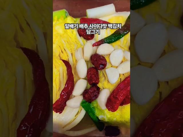 사이다맛 알배기 백김치담기 #찔레꽃#김용빈#트롯귀재