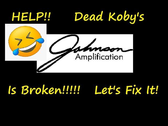 Dead Koby has a broken Johnson.    JM150  Millennium Modeling Amplifier.  Let's Fix This Thing!