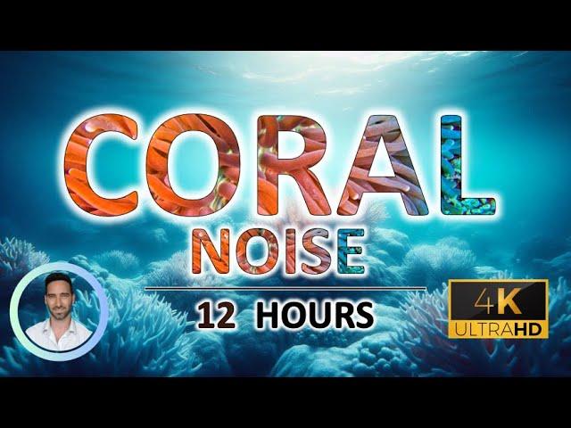 Coral Sleep Noise | For Instant Deep Sleep | 12 Hours | BLACK SCREEN | Tinnitus & Anxiety Relief