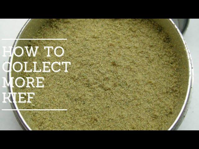 How to Collect More Kief from Grinder