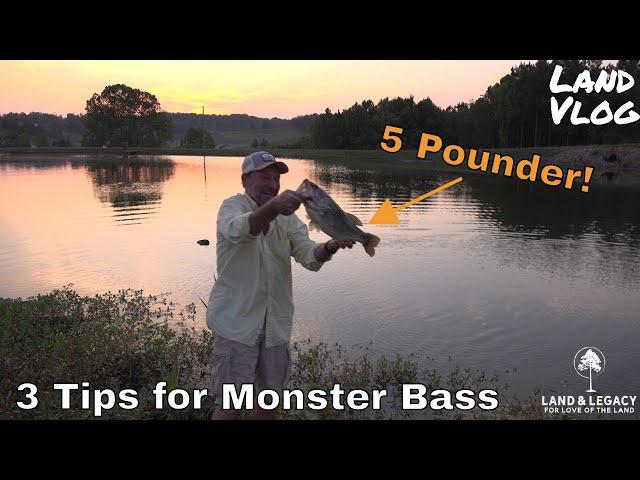 Fishing Pond/Lake Management - 3 Tips for Trophy Bass