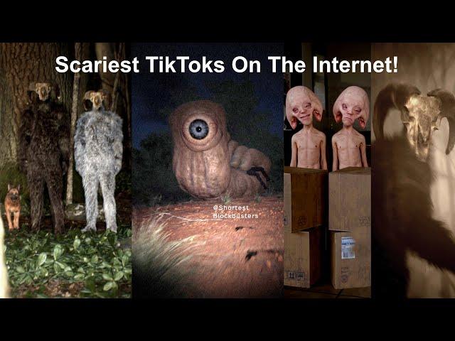 Scariest TikTok Videos on the Internet - Part 1