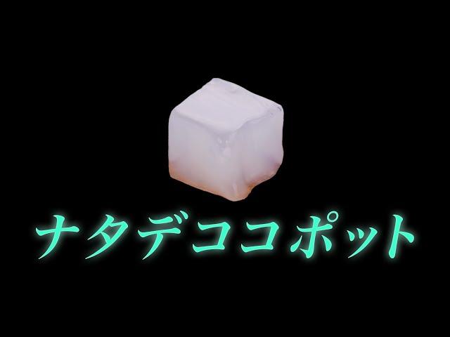 【マジ】無限にナタデココが出てくる壺を拾いました……