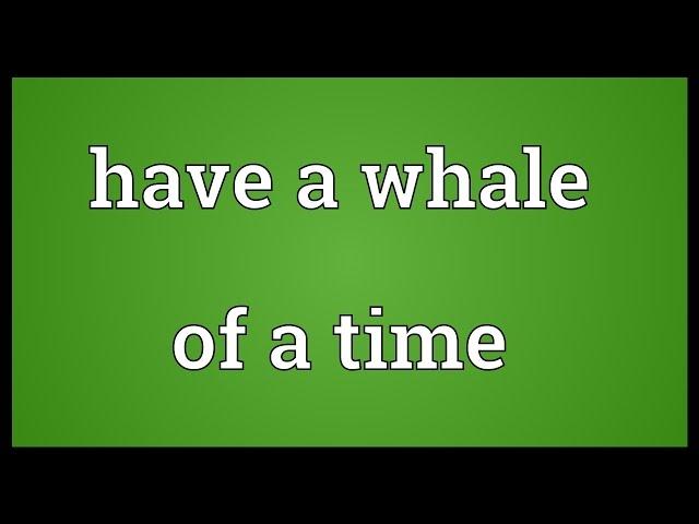 Have a whale of a time Meaning