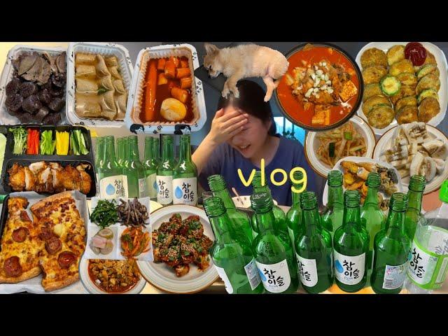 1박2일 소주 25병 술 먹방 브이로그(ft.안주 약 15개...)음주 vlog