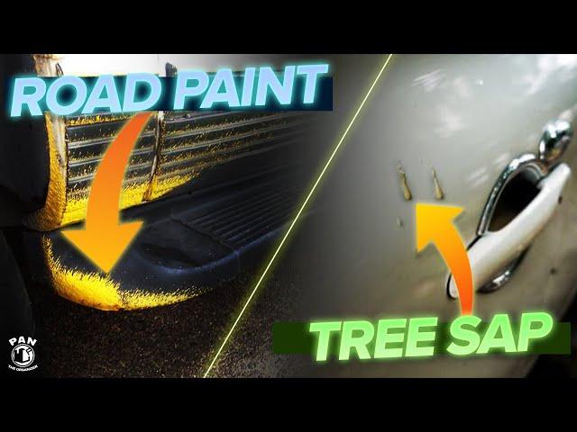 Ultimate Guide to Tree Sap and Road Paint Removal: Expert Tips and Tricks for a Pristine Finish