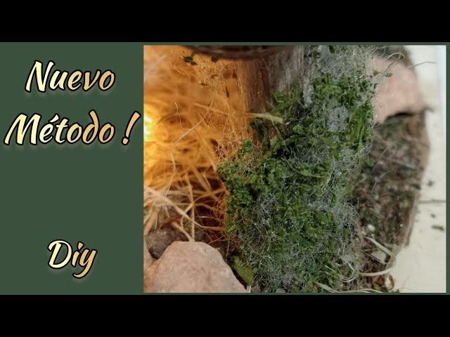 How to Make Realistic VEGETATION for CHRISTMAS, MODELS or DIORAMAS