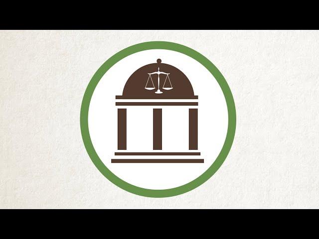 What is the Judiciary?