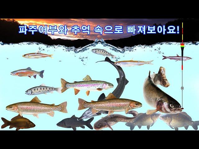 20250107 송어물낚시/송어얼음낚시 대낚시/루어 - 화천산천어축제 은현낚시터/은현피싱타운/은현레저타운 칠봉산낚시터 지오낚시터 마장계곡송어축제 직천낚시터/직천저수지 문화낚시터