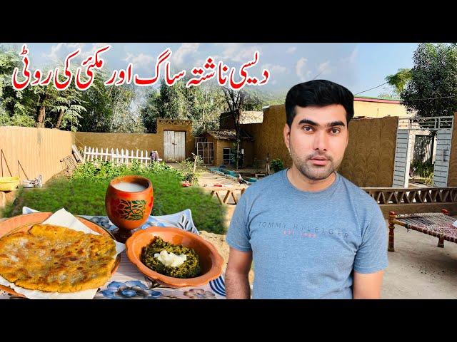 Village Traditional Breakfast | Village life  Pakistan | Shoaib Maharzada