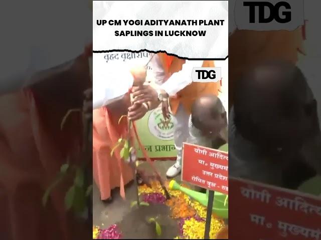 #watch| CM Yogi Adityanath plant saplings in Lucknow #viral #shorts