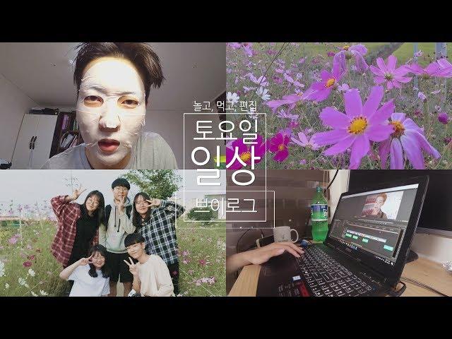 고등학생의 하루! 토요일 일상 브이로그 [ 부은얼굴, 방정리, 코스모스, 맘스터치 먹방 ] VLOG  |  화니HWAN'E