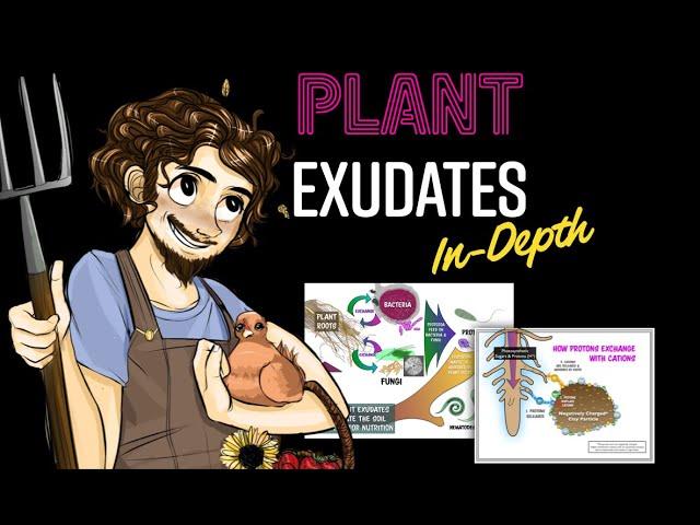 Plant Exudates In-Depth with Matt Powers | a Regenerative Soil excerpt