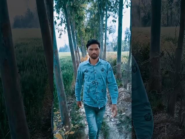 ARSH BHAI