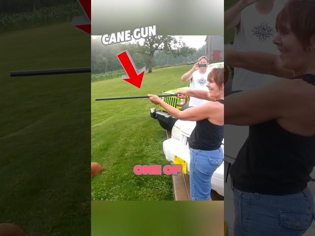 Cane Gun Explained.