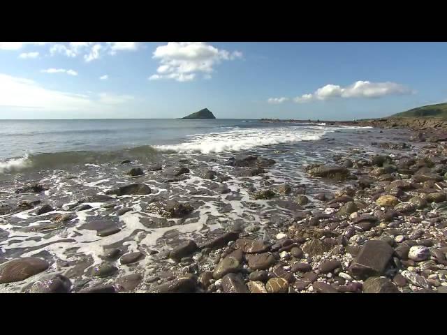 Living Seas - marine conservation in the UK with The Wildlife Trusts