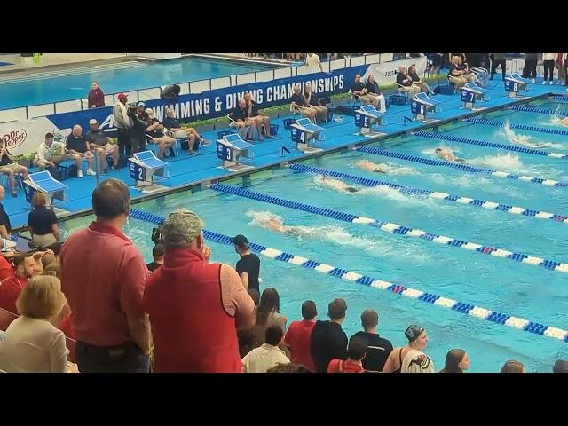 Chris Guiliano DESTROYS ACC Field, Drops 1:31.1 200 Free | 2024 ACC Championships