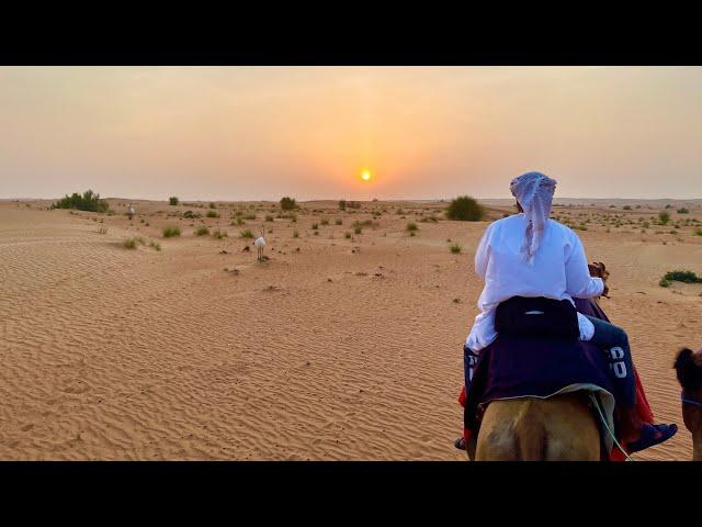 Arabian Adventures - Camel Ride