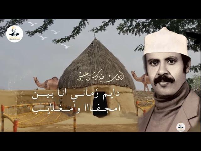 ايوب طارش - دايـم زمانـي انا بـيــن امجـفــا وامـغــلايـب | مع الكلمات