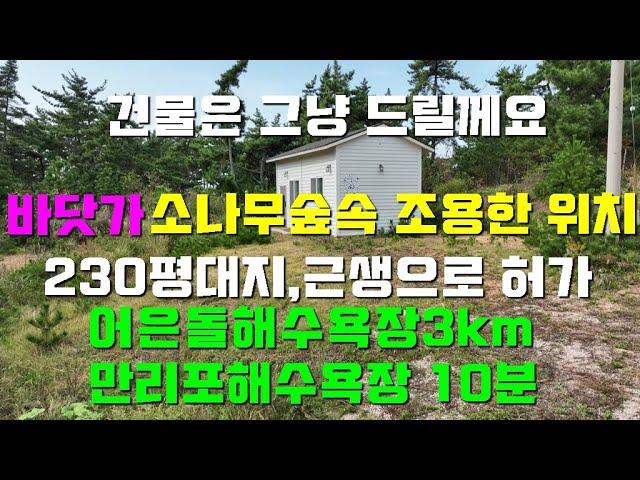 [매물1411]바닷가도보거리 소나무숲에 둘러쌓인 조용한 분위기,231평 대지위에 지어진 8.4평 의 가구수 제외되는 근생건물이 있는곳[서산,태안부동산전문 현대공인중개사사무소]