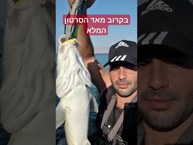 ארוכת ראש ענקית בכנרת בקרוב הסרטון המלא בערוץ. #דייגבכנרת #דגענק#דייג