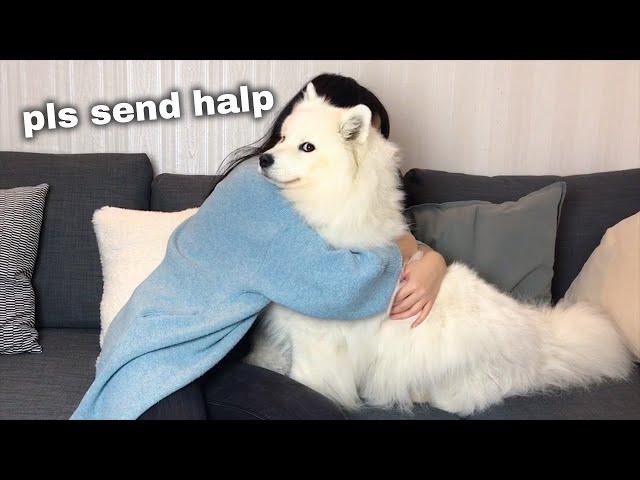 Hugging my dog for too long [FUNNY REACTION] 