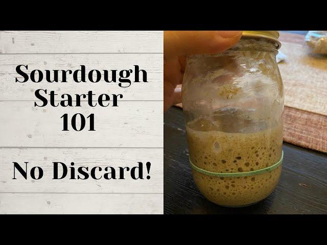 STUPID EASY ZERO WASTE Sourdough Starter Maintenance - No Discard | No Weighing