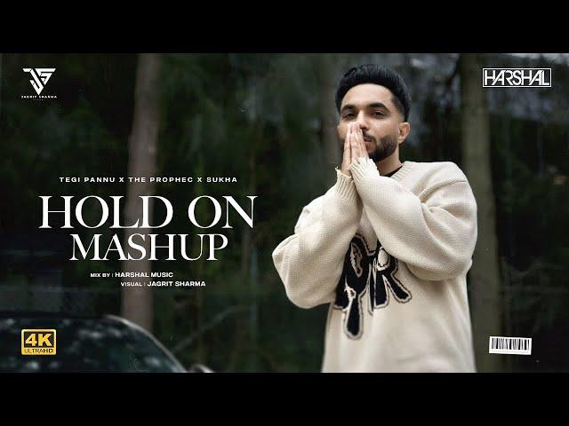 Hold On Mashup | Harshal Music | Mere Dill Nu X O Sajna X Tere Bina X Mang | Punjabi Love Mashup