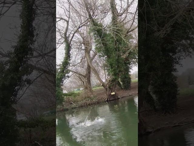 A magical few hours on the Hampshire Avon!