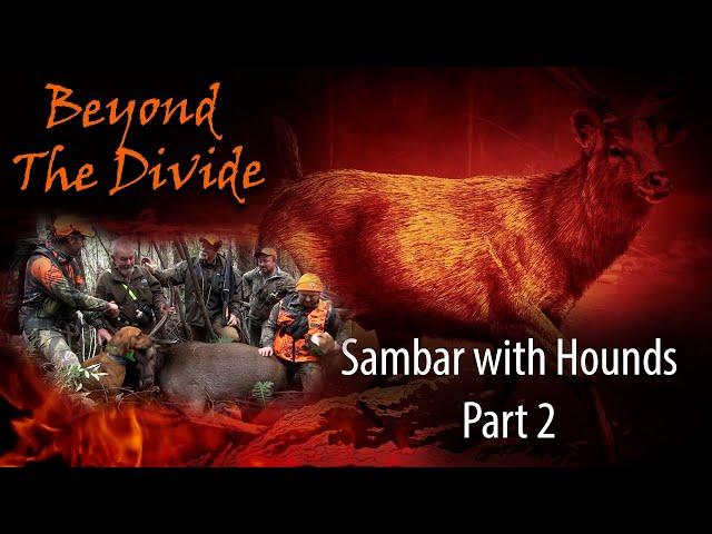 Hound Hunting Sambar part 2 | Beyond The Divide-S5 Ep 8