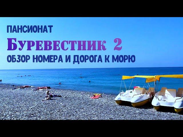 Пансионат Буревестник 2 : Обзор номеров, дорога к морю / Вишневка, Сочи 2020