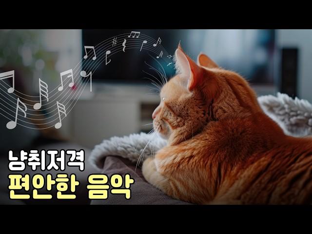 고양이 마음을 편안하게 해주는 음악. Piano Music for Cat Relaxation