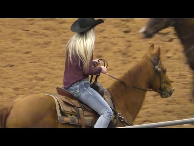 Team Penning - 10HC Set 4 - 2019 USTPA Panhandle Pen & Sort