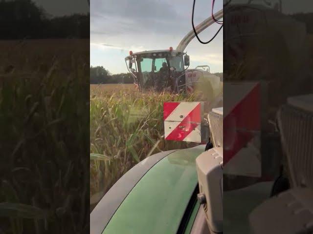Claas Jaguar