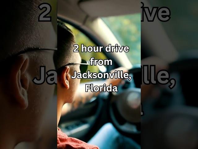 Day Tripping: Ocala Forest Adventure #shorts #travel