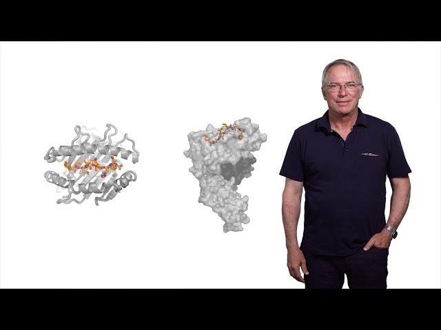 Hidde Ploegh (Boston Children’s Hospital) 1: Immunology: The Basics of Antibody Diversity