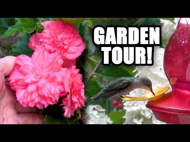 GARDEN TOUR with CTSCAPER  August 2022