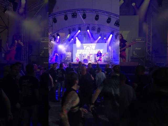 GOGOPONIES / Sharknado Circle Pit - live at Rebellion festival - Blackpool UK 2 August 2024