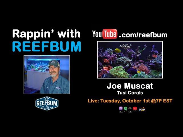 Rappin' With ReefBum: Guest, Joe Muscat, Tusi Corals