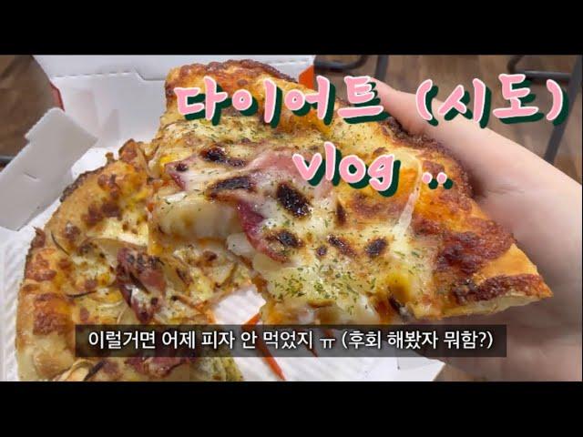 증량은 쉽고 감량은 어려워 | 다이어트 (시도) 먹방 브이로그 | 번아웃 온 슬픔이