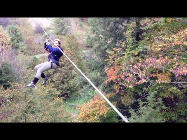 Ziplining at Treetop Eco-Adventure Park