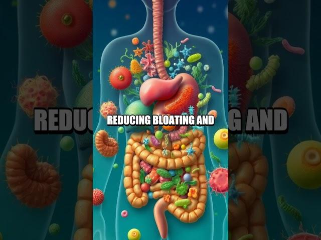Exploring the Gastrointestinal-Microbiome Relationship: A Digestive Harmony