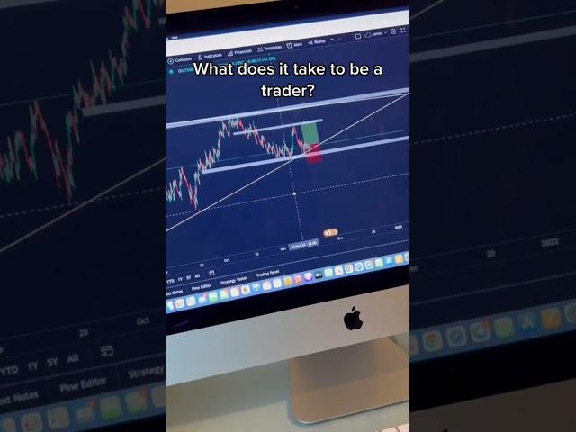 What does it take to be a trader? 