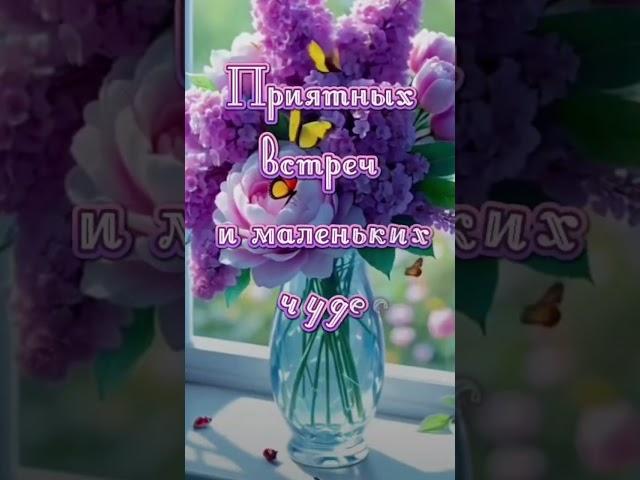 Доброе утро! Красивоепожелание#видео#красиваямузыка#shorts