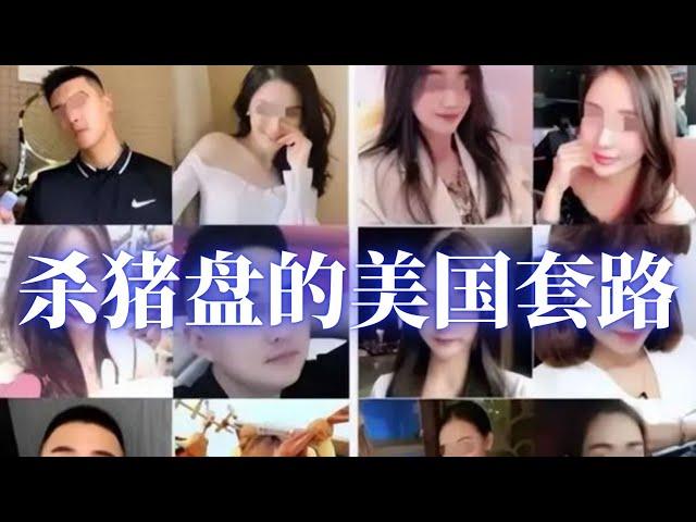 “杀猪盘诈骗”在亚洲盛行，近年网络诈欺集团将目标瞄准美国。美国执法机构无力应付，大批华人成为杀猪盘的受害人及共谋。刑事律师邓洪介绍传统式的杀猪盘在美国登陆所采取的套路，谁总被骗？如何预防？