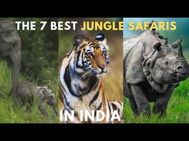 7 Best Wildlife Safari in India | National Park & Wildlife Sanctuary