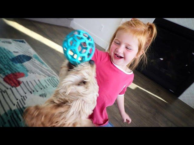 SURPRISING ADLEY with a PUPPY!! (Hiding a Pet Dog in her Room) and backyard fun playing a new game!